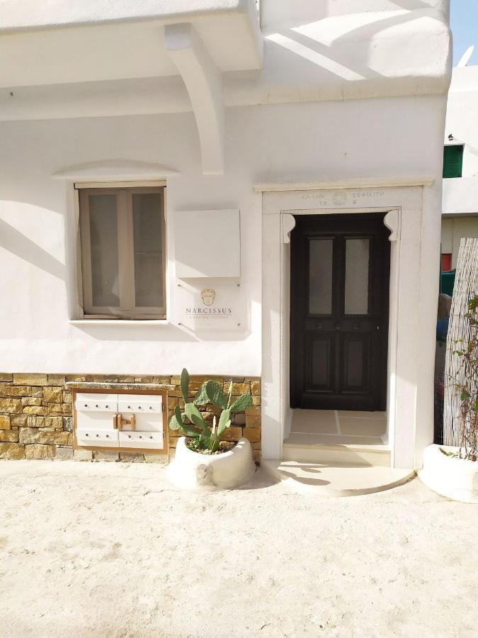 Narcissus Luxury Suites Naxos City Dış mekan fotoğraf