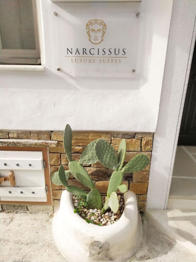 Narcissus Luxury Suites Naxos City Dış mekan fotoğraf