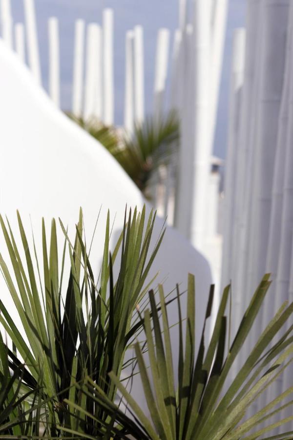 Narcissus Luxury Suites Naxos City Dış mekan fotoğraf